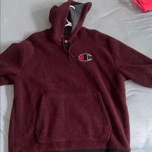 Champion Furry Hoodie